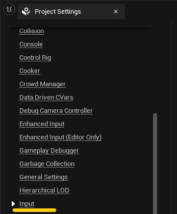 Project Settings Input